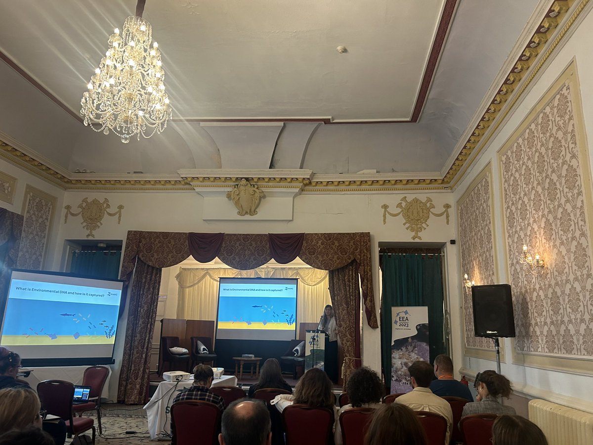 Alice Chamberlain tweet media