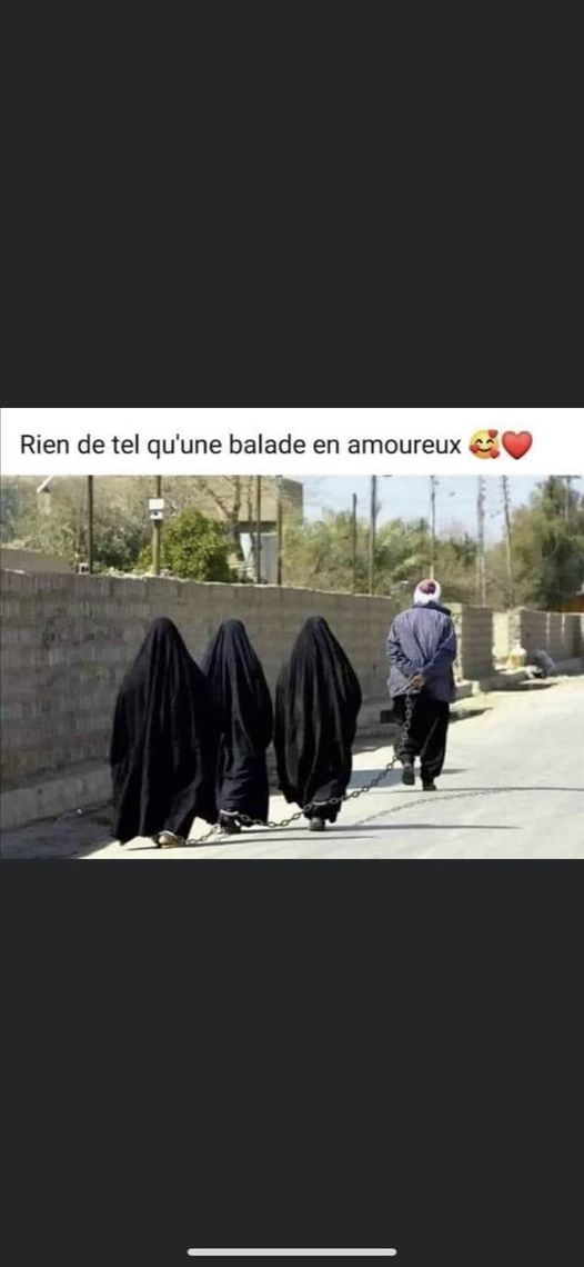 🇫🇷fabholv#merciNS🇫🇷 tweet media