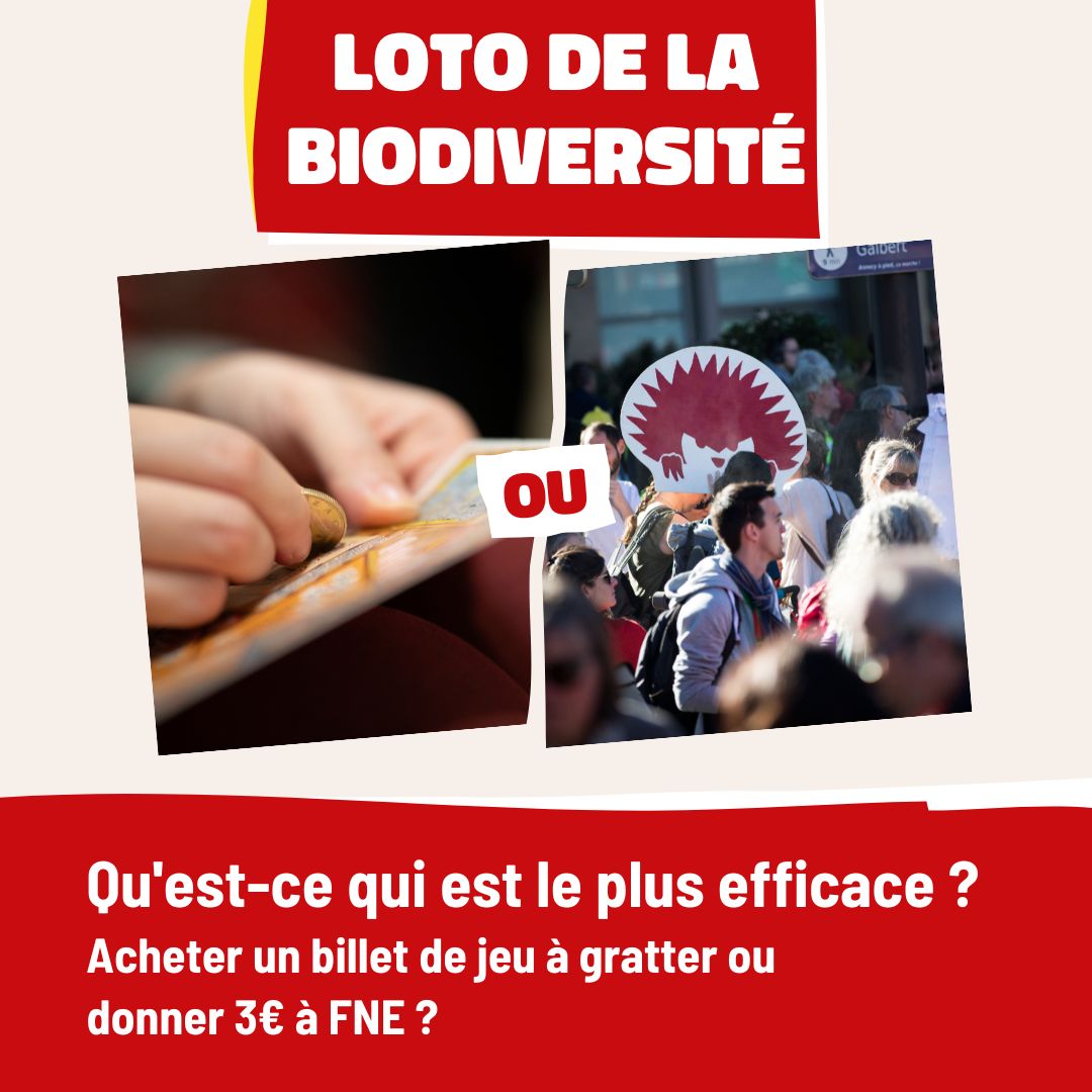 📦🦋 France Nature Environnement tweet media