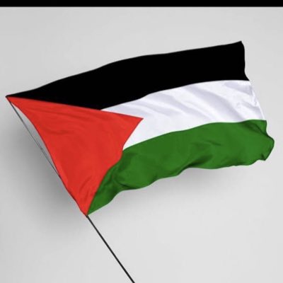 MhrZeeshan8's tweet photo. #PalestineWillBeFree https://t.co/1uQuOEl0zi