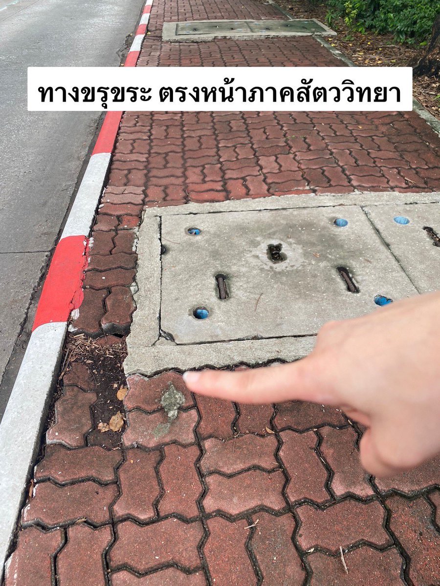 angleeeess73164's tweet photo. #IDKU #KU #Kasetsart #ม.เกษตร  #ManSo #แมนโซ #ManandSociety #มนุษย์กับสังคม #01999141 #ภาคต้น #2566 #เพื่อการเปลี่ยนแปลงอย่างสร้างสรรค์ https://t.co/hLQW5Beahb