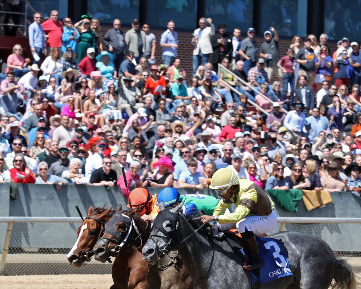 Hold onto your hats! 👒🐎 Only 50 days until the ultimate racing experience gallops into action! Join us in celebrating 120 years of racing legacy, passion, and pure adrenaline on December 8! #50Days #OaklawnRacing #120Years #Thoroughbred #LiveRacing @CoadyPhoto