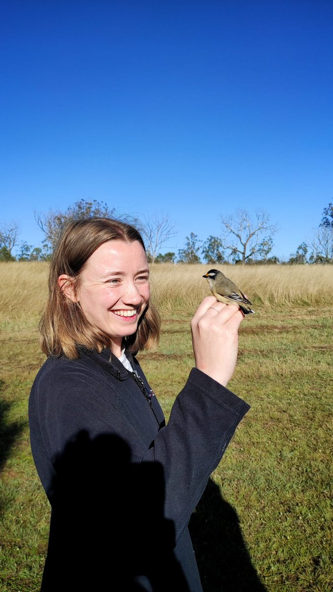 NEOF visitor @sarah_e_nichols from @NHM_Students & @egioxford wants to understand how birds disperse parasites during migration so she’s been conducting metabarcoding and high-throughput sequencing on blood and faecal samples collected in Australia last year! #NEOFTraining