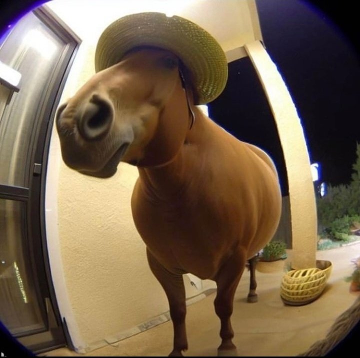 AdamSavero124's tweet photo. @HumansNoContext just horsin' around
credit to animalsgoinggoblinmode on IG https://t.co/4zwNVVyrDw