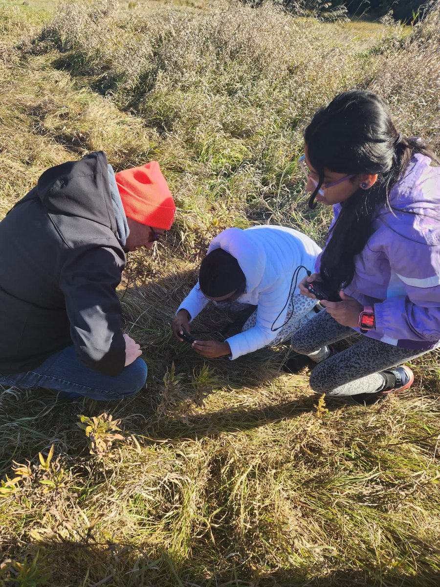 EOEC_TDSB's tweet image. #TakeMeOutsideDay #takemeoutside #nature #naturejournal #NaturePhotography #outdoorlearning #outdoored @WoburnJunior #bondarchallenge @RobertaBondar