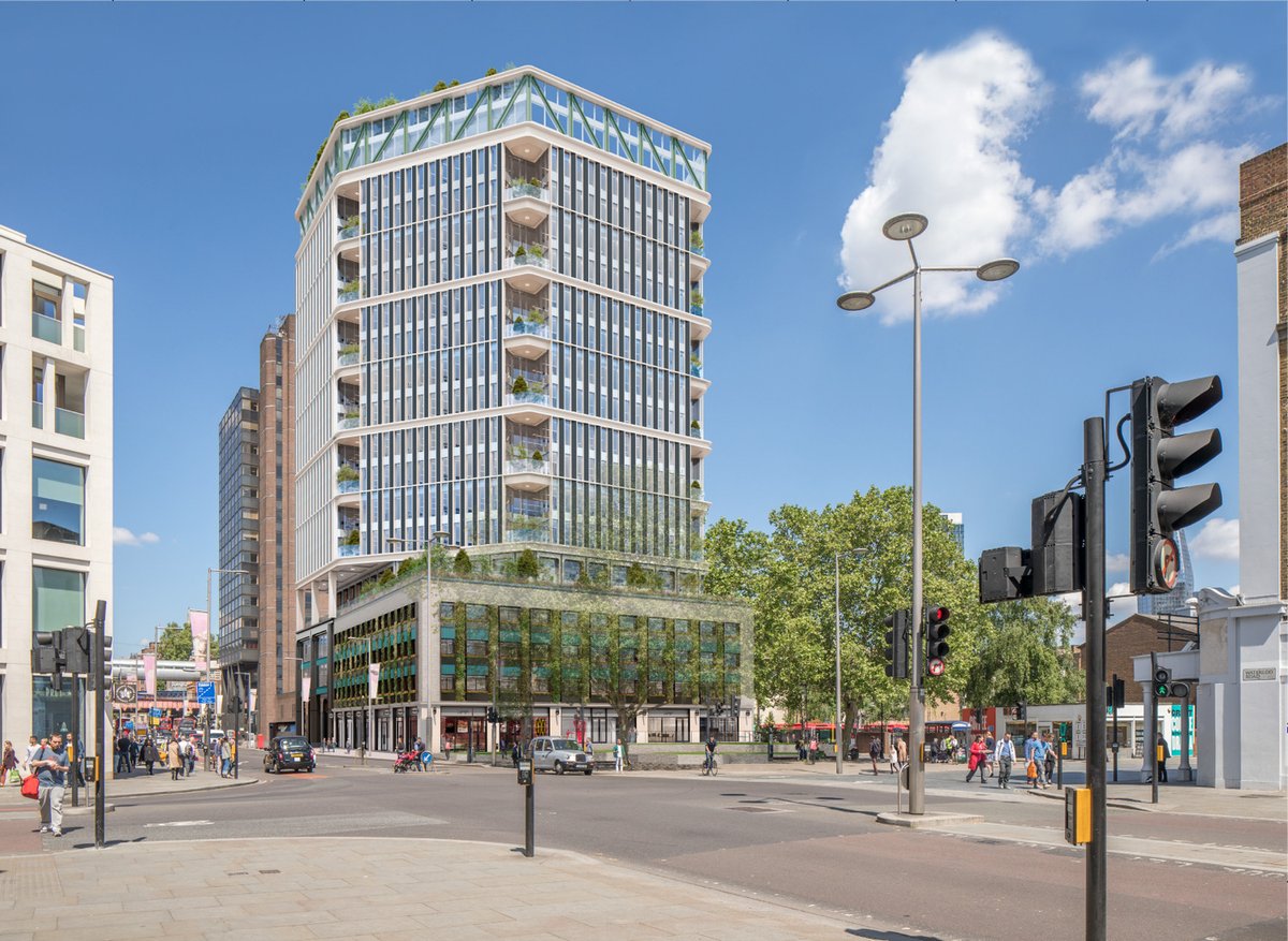 Buckley Gray Yeoman tweet media