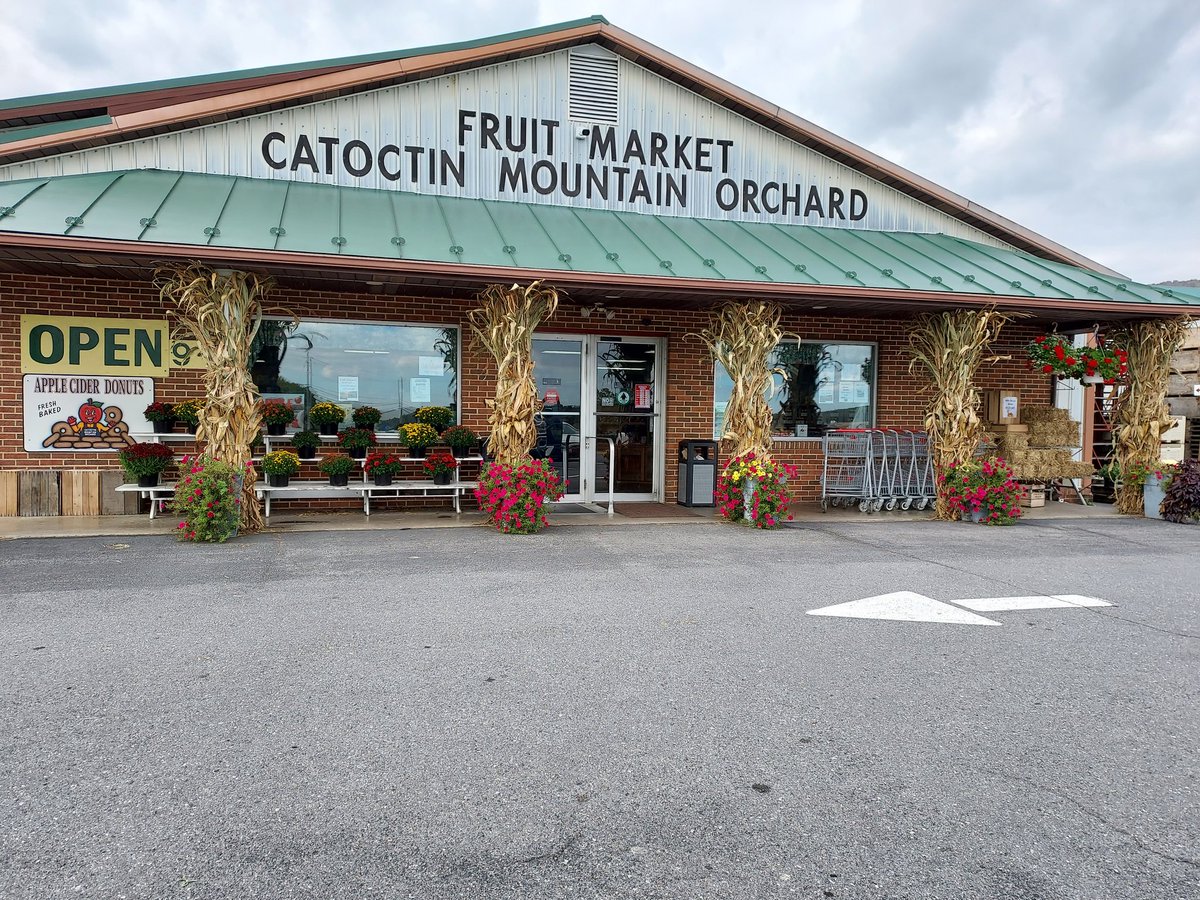 MelissasLibraryLife tweet media