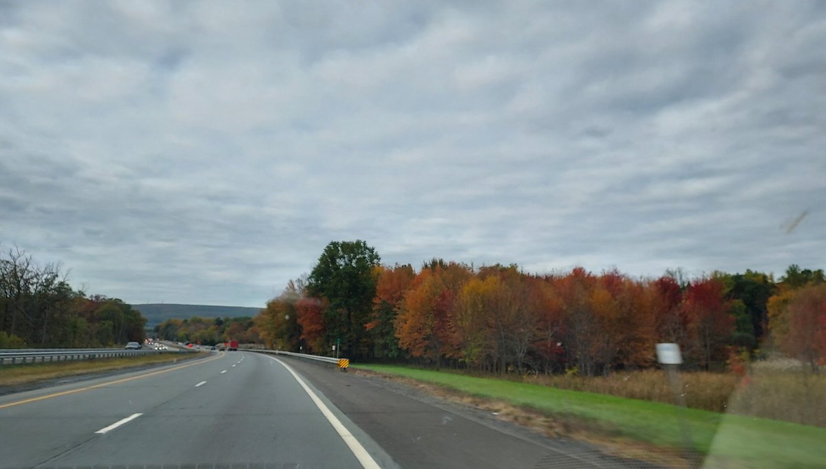 MelissasLibraryLife tweet media