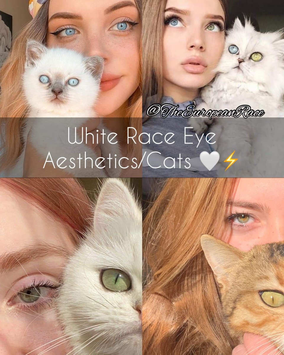 White Race Eye Aesthetics/Cats 😍👏🏻🤝🏻💪🏻⚡️🤍❤️ beautiful genes , beautiful White Race girls. WhiteRaceGirls BeautifulEyes Cats