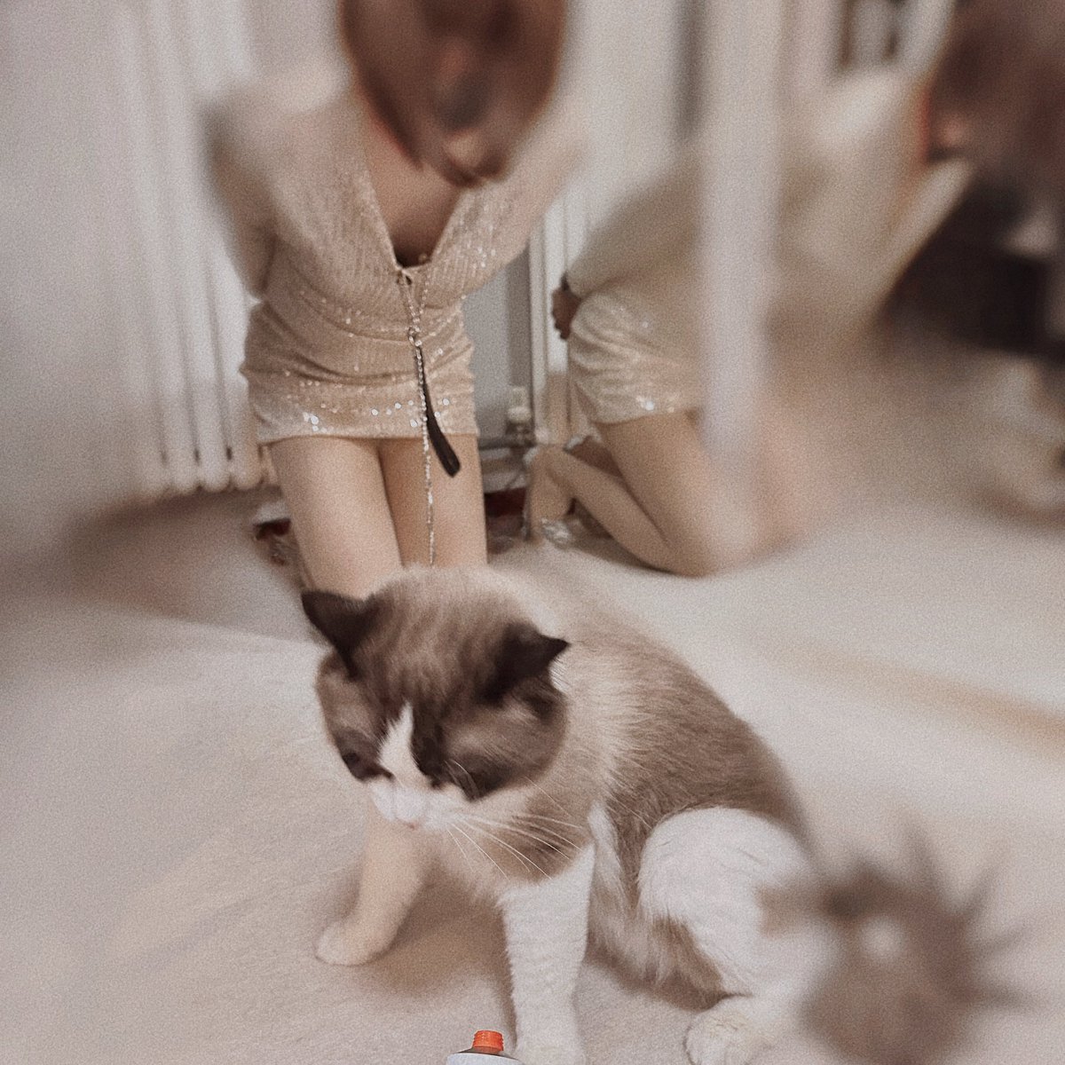 欺负了主人的猫，
被主人好好收拾了，
又被主人的猫好好收拾了，
主人是把调教玩明白了🫠
#圈养日记 https://t.co/sJlkX3lNW0