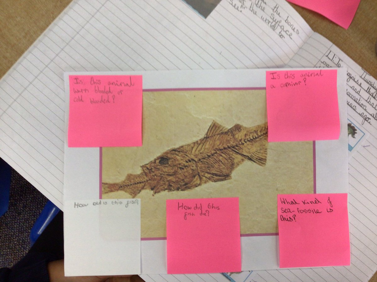 Byronprimarysch's tweet photo. 6R have been asking a variety of scientific questions based on their observations of fossils. #BYRONscience #BYRONSTEM https://t.co/Ya3ClVWM4l