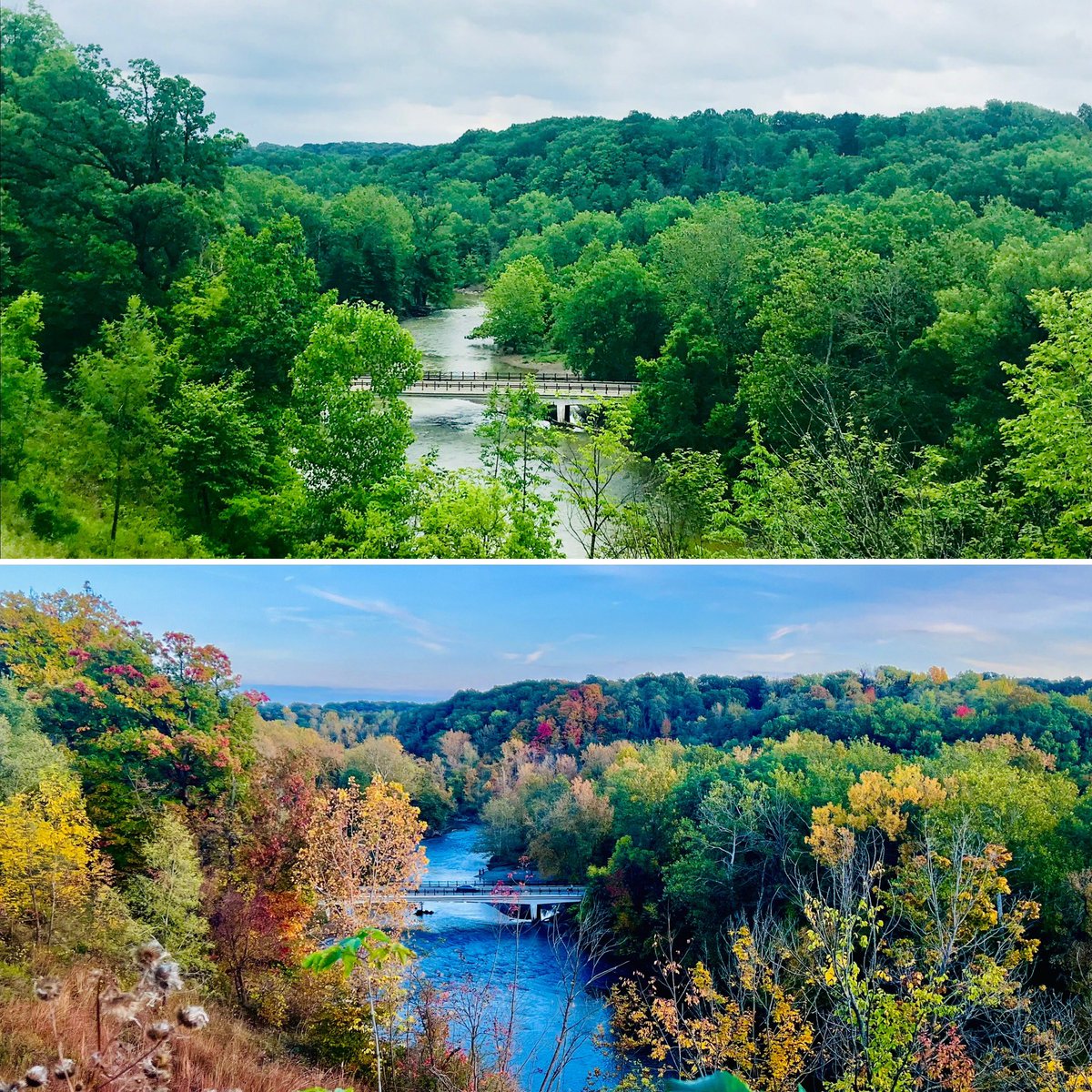 JishnuSenGupta's tweet photo. Summer to Fall in #RockyRiverValley
#BackyardMagic 🍁😍 https://t.co/xDkCKxbUTV