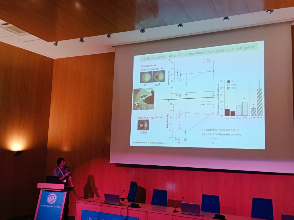 FORESCENT_UPM's tweet image. Juan Antonio Martín y David Macaya nos han hablado sobre el papel de endófitos del olmo y de la mejora genética ante la grafiosis 🌳🧬🧫 #AEET2023