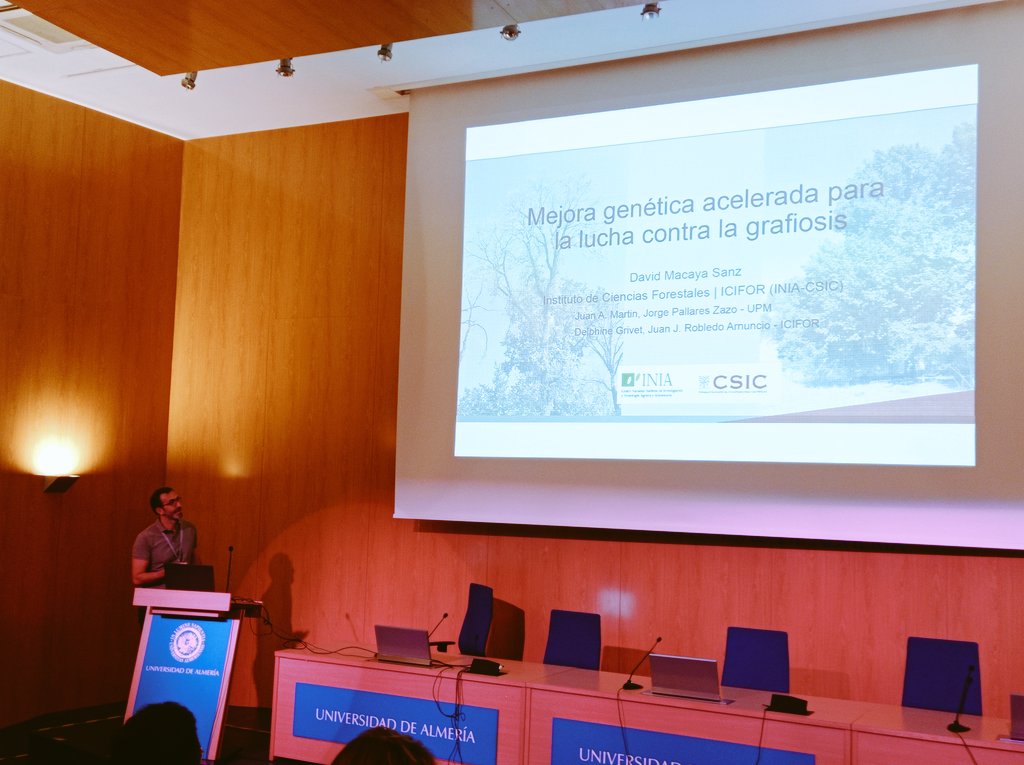 FORESCENT_UPM's tweet image. Juan Antonio Martín y David Macaya nos han hablado sobre el papel de endófitos del olmo y de la mejora genética ante la grafiosis 🌳🧬🧫 #AEET2023