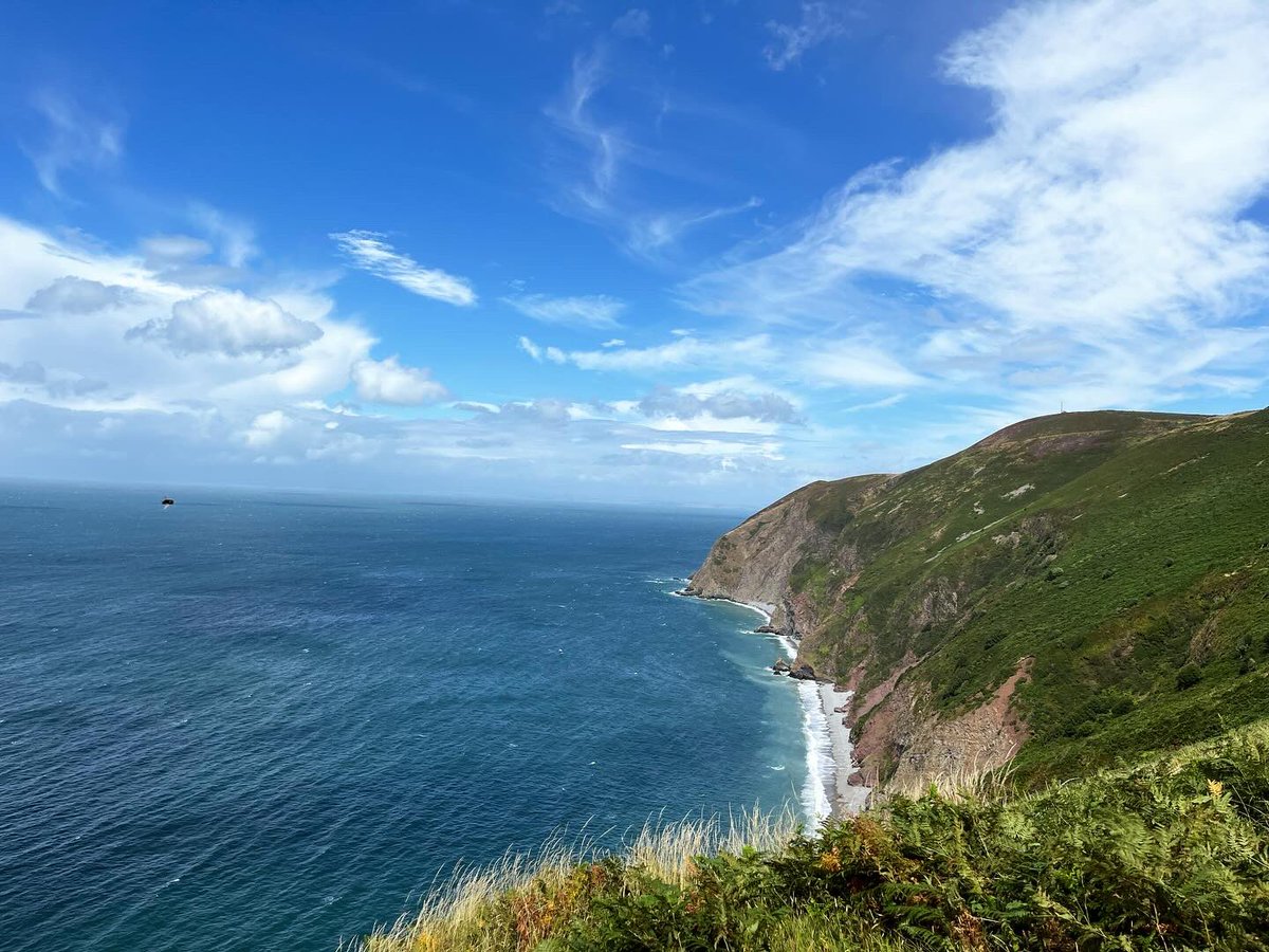 Chris Robbins tweet media