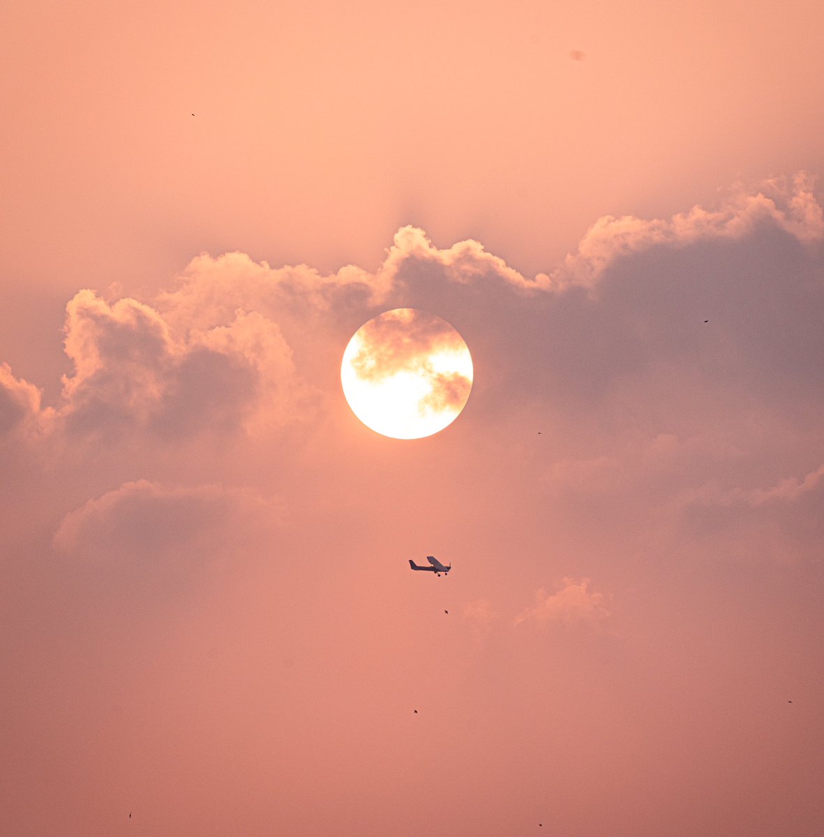 Flying into the sunset… A sunset view from Durgam Cheruvu, #Hyderabad…