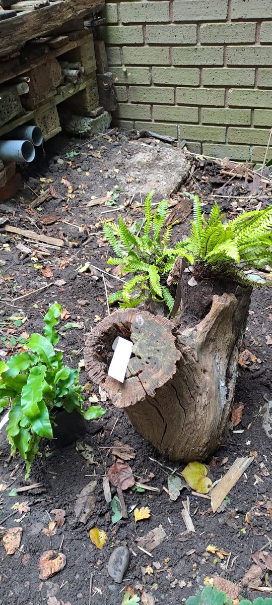 Wildside Activity Centre tweet media