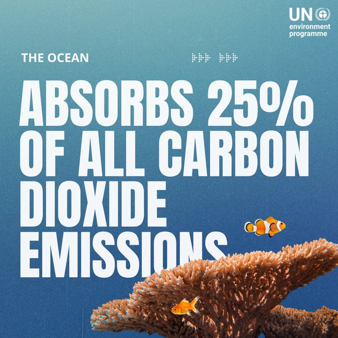 Oceans nourish us, regulate our climate, and generate most of the oxygen we breathe.

A healthy ocean is a prerequisite for humanity’s survival.

How UNEP takes action to #SaveOurOcean: unep.org/explore-topics…

Via <a href="/UNEP/">UN Environment Programme</a>