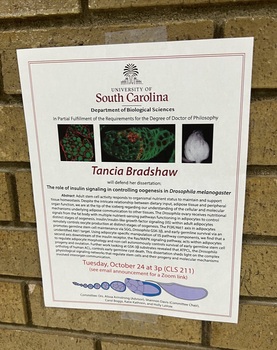 Super excited to announce that next week, @tanciabradshaw, the first PhD student in my lab, will defend her dissertation! 📣📖🪰🧑🏾‍🔬💅🏾