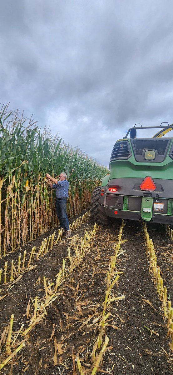 SimonFalkena tweet media