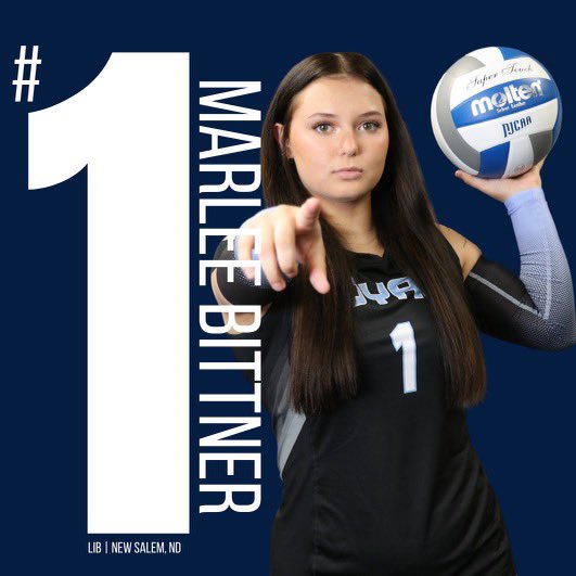 LRSCvolleyball tweet media