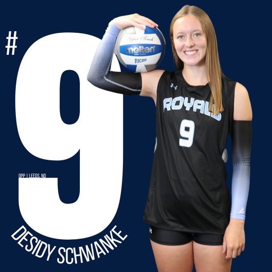 LRSCvolleyball tweet media