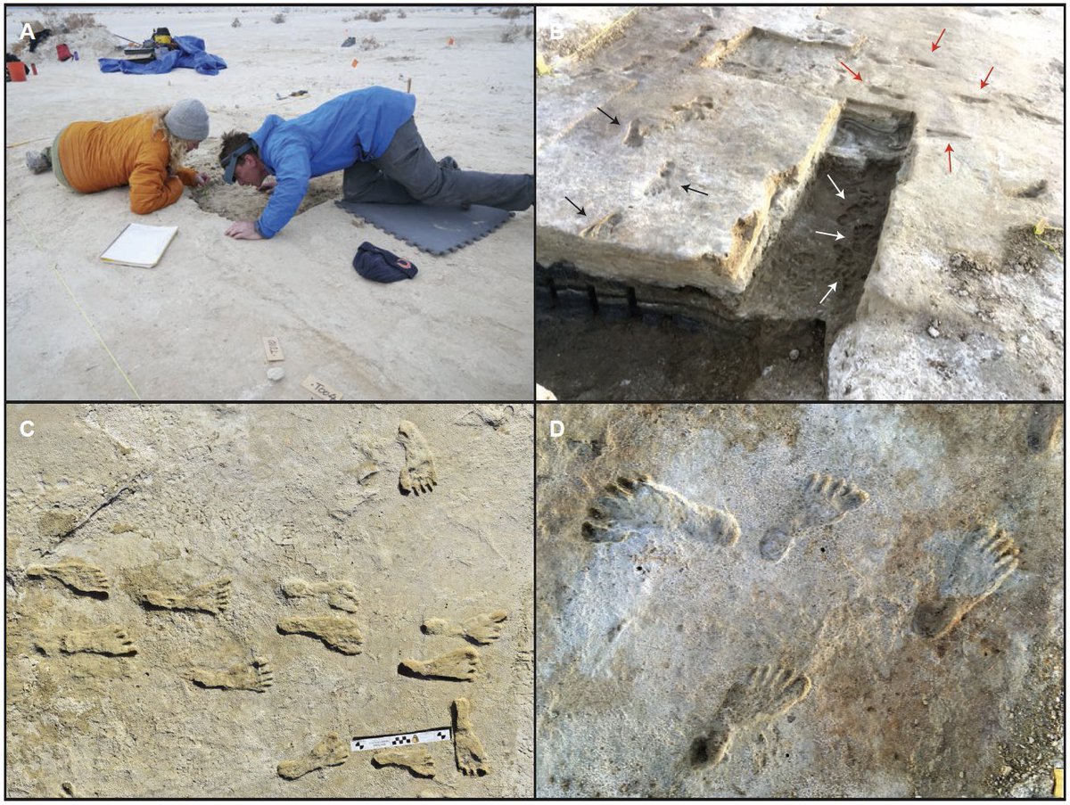 #ICYMI: <a href="/USGS/">USGS</a> scientists &amp; partners used new lines of evidence to confirm that human footprints 👣found in White Sands Nat’l Park show people lived in North America 21-23,000 yrs ago – much earlier than previously thought! ow.ly/ju7m50PXgmU
#ClimateR_D