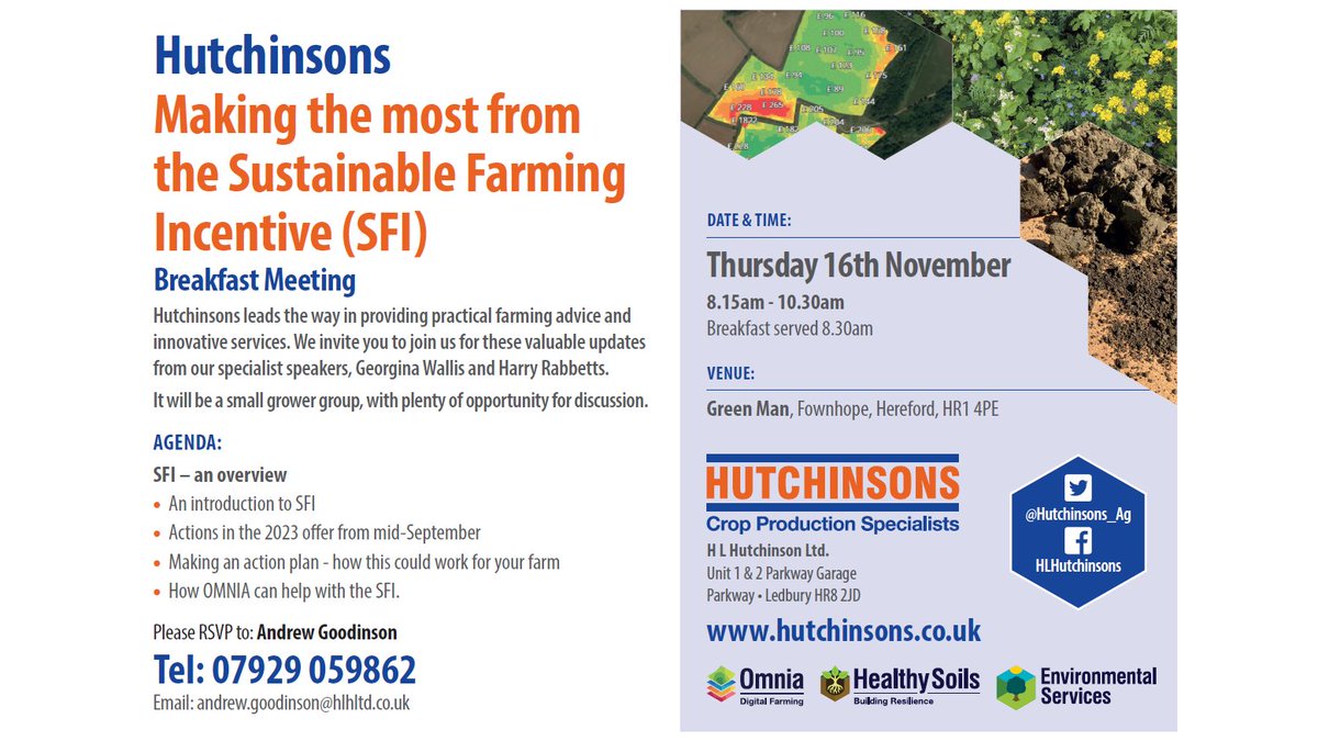 Hutchinsons tweet media