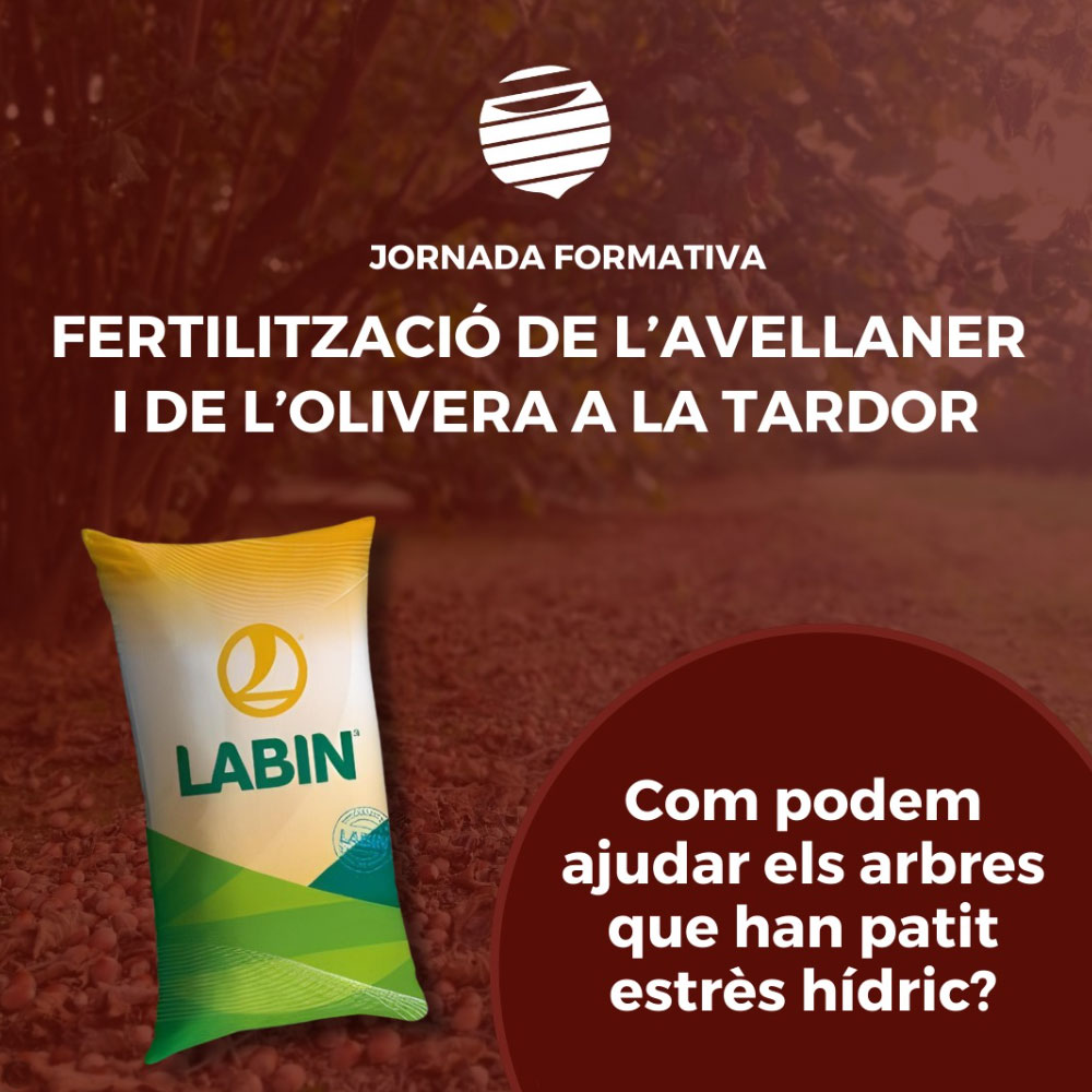 Com podem ajudar els arbres que han patit estrès hídric? 🌳
Jornada de fertilització de l'avellaner i de l'olivera a la tardor.

📍L’Avellanera i Secció de Crèdit, SCCL. Av. Fraternidad, 6, de La Selva del Camp

 20 d’octubre a les 19 h🕙

Inscripció👇
goo.su/FLT8