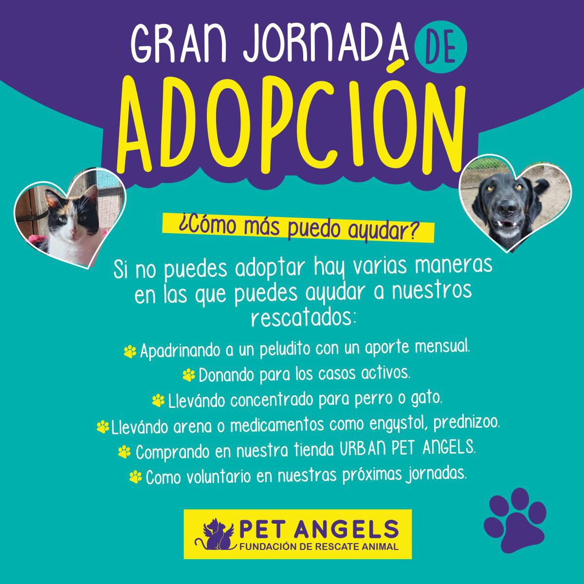 PetAngelsCol 🐱🐶 tweet media