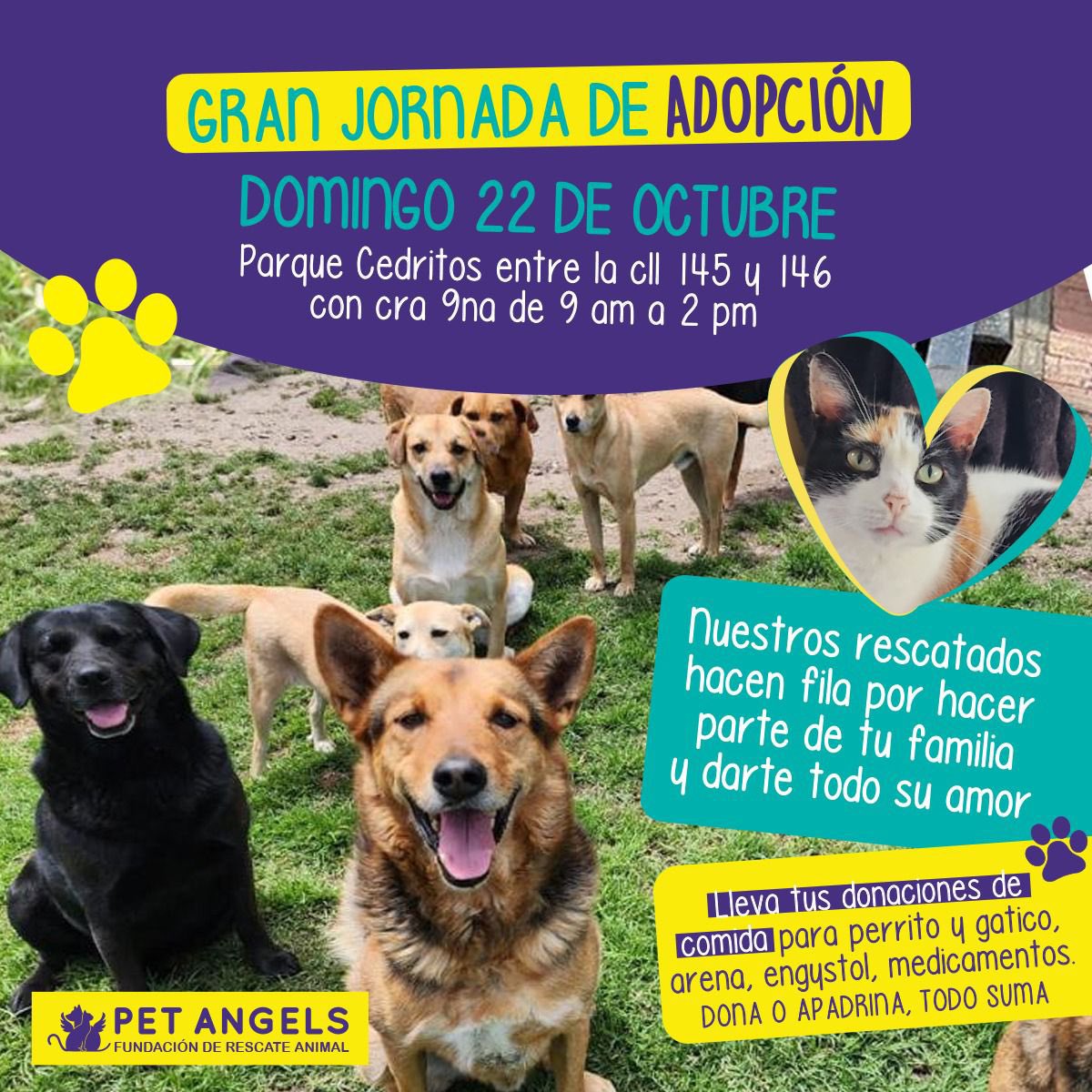 PetAngelsCol 🐱🐶 tweet media