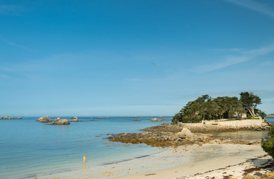 J'ai encore 5 codes Ciel Bleu à partager, si jamais 🙃
(btw @ minou là bas pour celles et ceux qui y sont déjà)