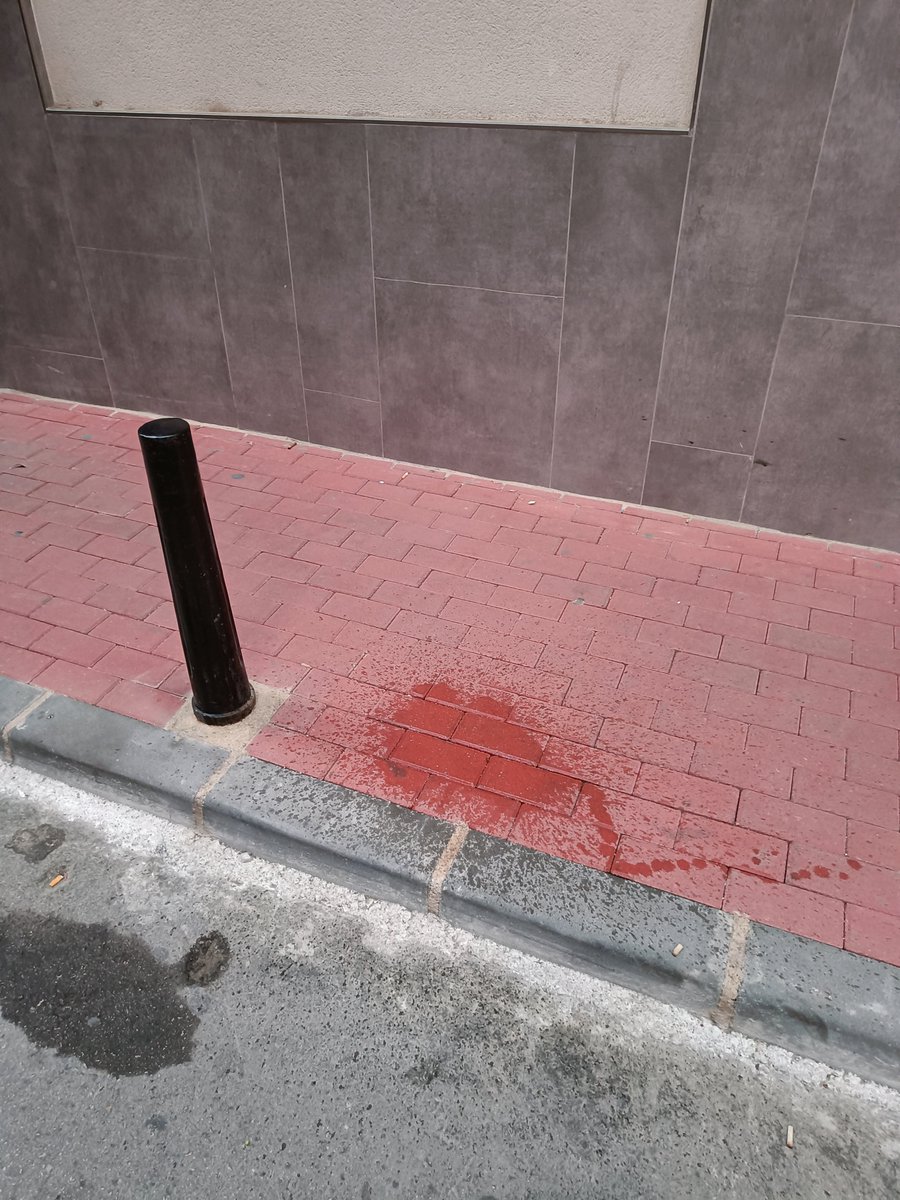Esta mañana, en menos de 5' andando, he visto a 2 perros  (atados con correa y de paseo con los dueño) haciendo pipí en 1. puerta de garaje y 2. en medio de la acera. Es un paseo de esquivar mierda. Y la culpa solo la tienen los dueños. ¿Para cuando multas y respondabilidades?