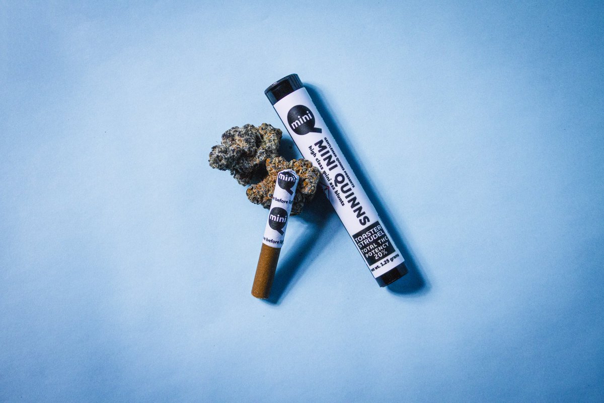 Gentleman Quinns™ Blunt Co. tweet media