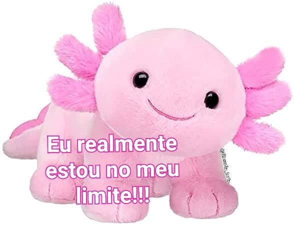 lacerda's tweet image. assim