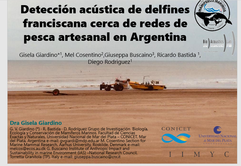 travesiasdelobo's tweet photo. Today! work in progress 😮 #Bioacustic #Delfines #byCatch #Fisheries #RedCID @BECMM_UNMdP @melanthropics @StampaCnr @pampazul @IIMyCAr @SeccienUNMdP pedí el link redcid2020@gmail.com o míralo luego por @YouTube https://t.co/Tdjxxgten4 https://t.co/XeBLDGkkkX
