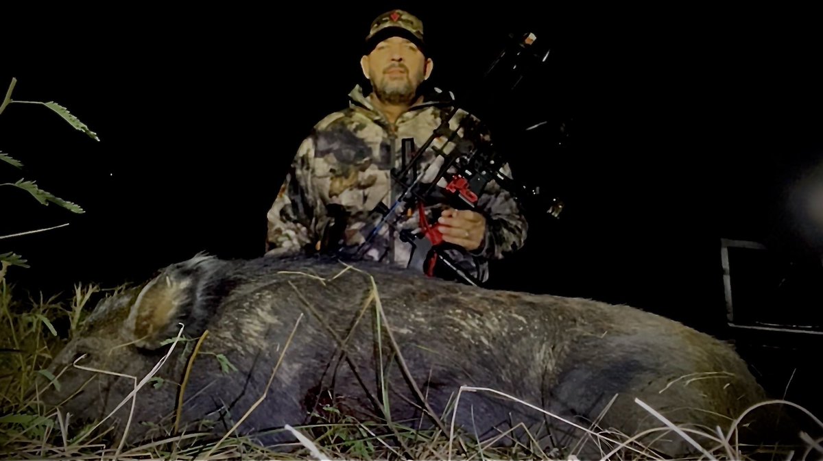 SwinesNemesis's tweet photo. Another one bites the dust during the first sit of the season on new low fence ranch. 
#hunting #bowhunting #texas #PodcastAndChill  @TeamSAOutdoors https://t.co/JzIQHCUcAq