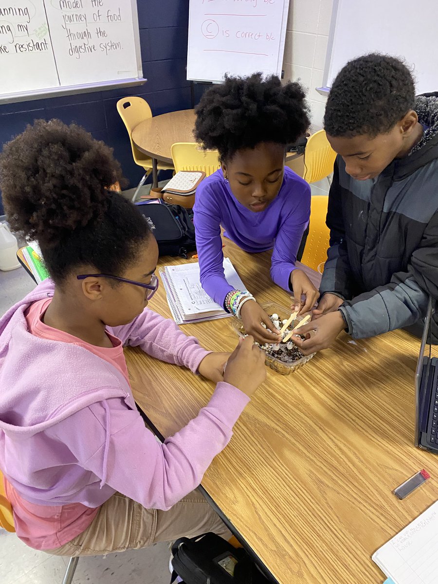 jesse_hooks's tweet image. 6th graders in @MrsBCubed science class are using the EDP process to plan and create an earthquake resistant house. I wonder who will be successful @TCBOE_CMS #CMStheplacetobe