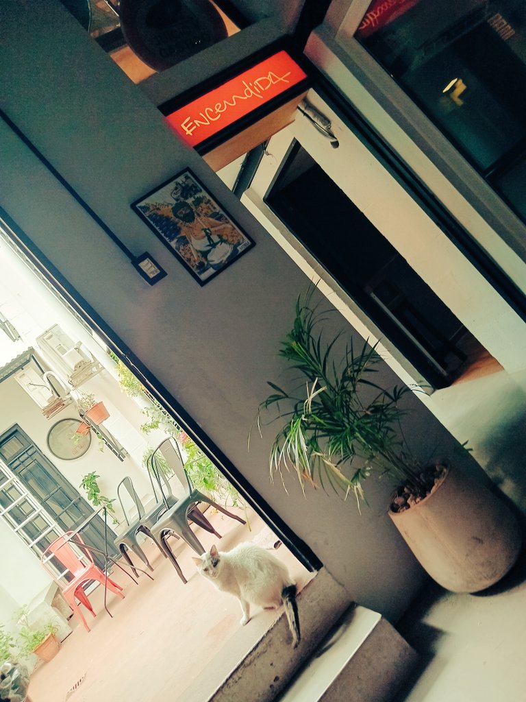 #Radio
📍El desierto de Milei y las chances de rascar un balotaje.

📻 <a href="/lamontaniafm/">La Montaña</a> <a href="/fmlatribu/">LA TRIBU</a> hasta las 13hs!