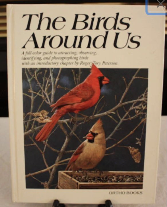 emmasattic98's tweet image. Vintage "The Birds Around Us" Hardback Book by EmmasAtticTreasures etsy.me/45BTtQW via @Etsy #AmericanBirds #ReferenceBook #TheBirdsAroundUs #Hardback