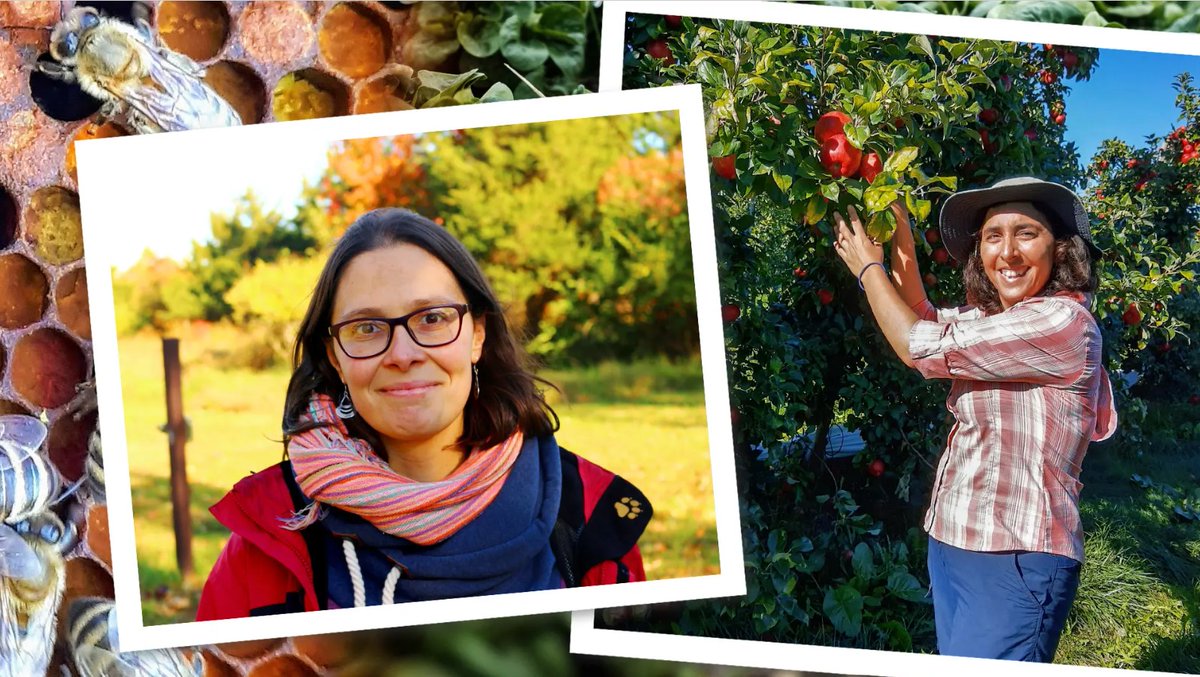 College of Agriculture & Natural Resources (@umd_agnr) on Twitter photo #UMD faculty members, <a href="/FarcuhMacarena/">Dr. Macarena Farcuh</a> and <a href="/Analyssi/">Anahí Espíndola 🇦🇷🇨🇭</a> will receive the 2023 Science Communication Runner-Up Award from <a href="/EntsocAmerica/">Entomological Society of America</a> next month, recognizing their work for <a href="/ExtensionEspUMD/">Extensión en español UMD Maryland</a>. #HispanicHeritageMonth
go.umd.edu/3M7JEDA #UMD faculty members, <a href="/FarcuhMacarena/">Dr. Macarena Farcuh</a> and <a href="/Analyssi/">Anahí Espíndola 🇦🇷🇨🇭</a> will receive the 2023 Science Communication Runner-Up Award from <a href="/EntsocAmerica/">Entomological Society of America</a> next month, recognizing their work for <a href="/ExtensionEspUMD/">Extensión en español UMD Maryland</a>. #HispanicHeritageMonth
go.umd.edu/3M7JEDA