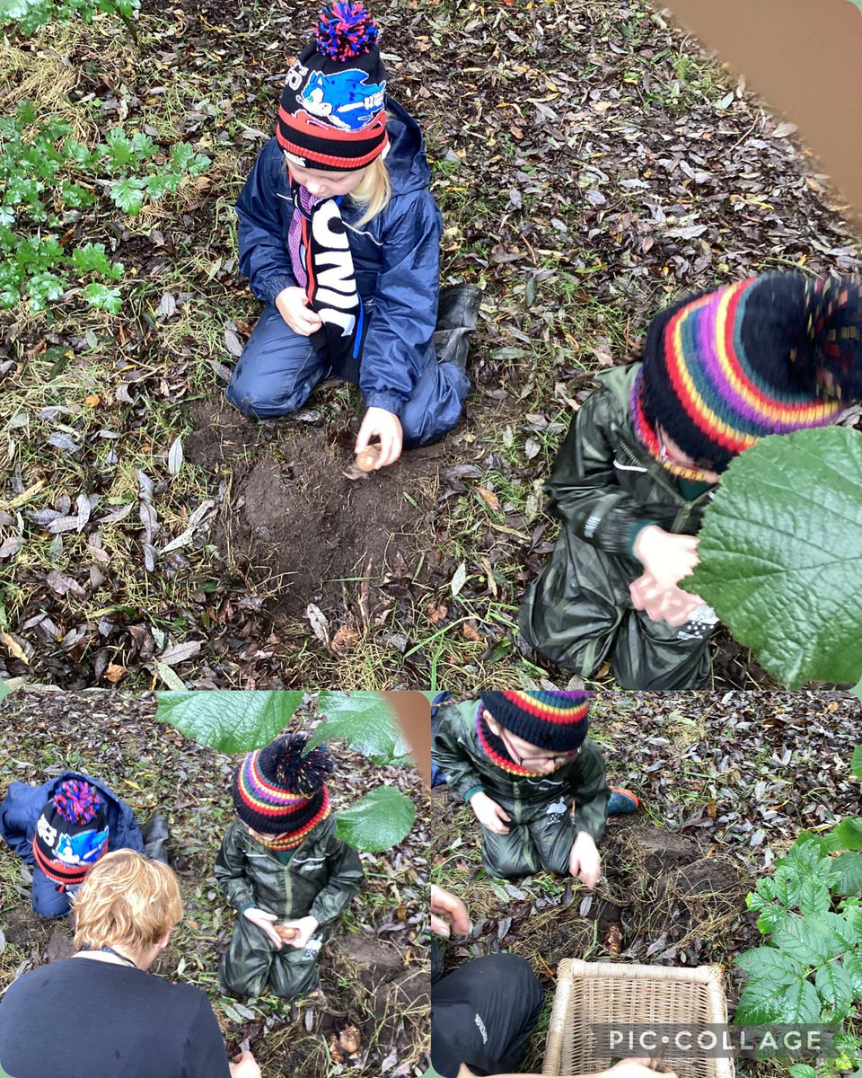 HTS_OutdoorsEd's tweet photo. Bulb planting with some of the lovely Oak Class. We planted a mix of spring bulbs to help wildlife next year. #WildActionWeek @JohnMuirTrust @BumblebeeTrust @Buzz_dont_tweet https://t.co/R7Z6fg0hQ0