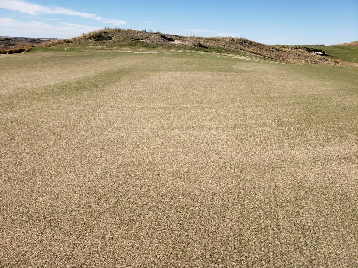 Cordlwalker's tweet image. Tis the season @Ballyneal! What a year, thankful to have this great of a turf team and support from many others here...time to tuck her in for winter and hope for lots of white gold!!
