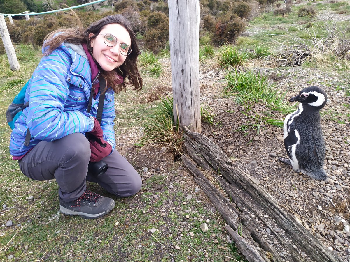 descviajando's tweet photo. Estoy en Ushuaia y ayer fui a caminar con pingüinos. Increíble, Argentina, me encantas. 😍😍😍❤️🐧🇦🇷 https://t.co/kb00rsZ4Yg