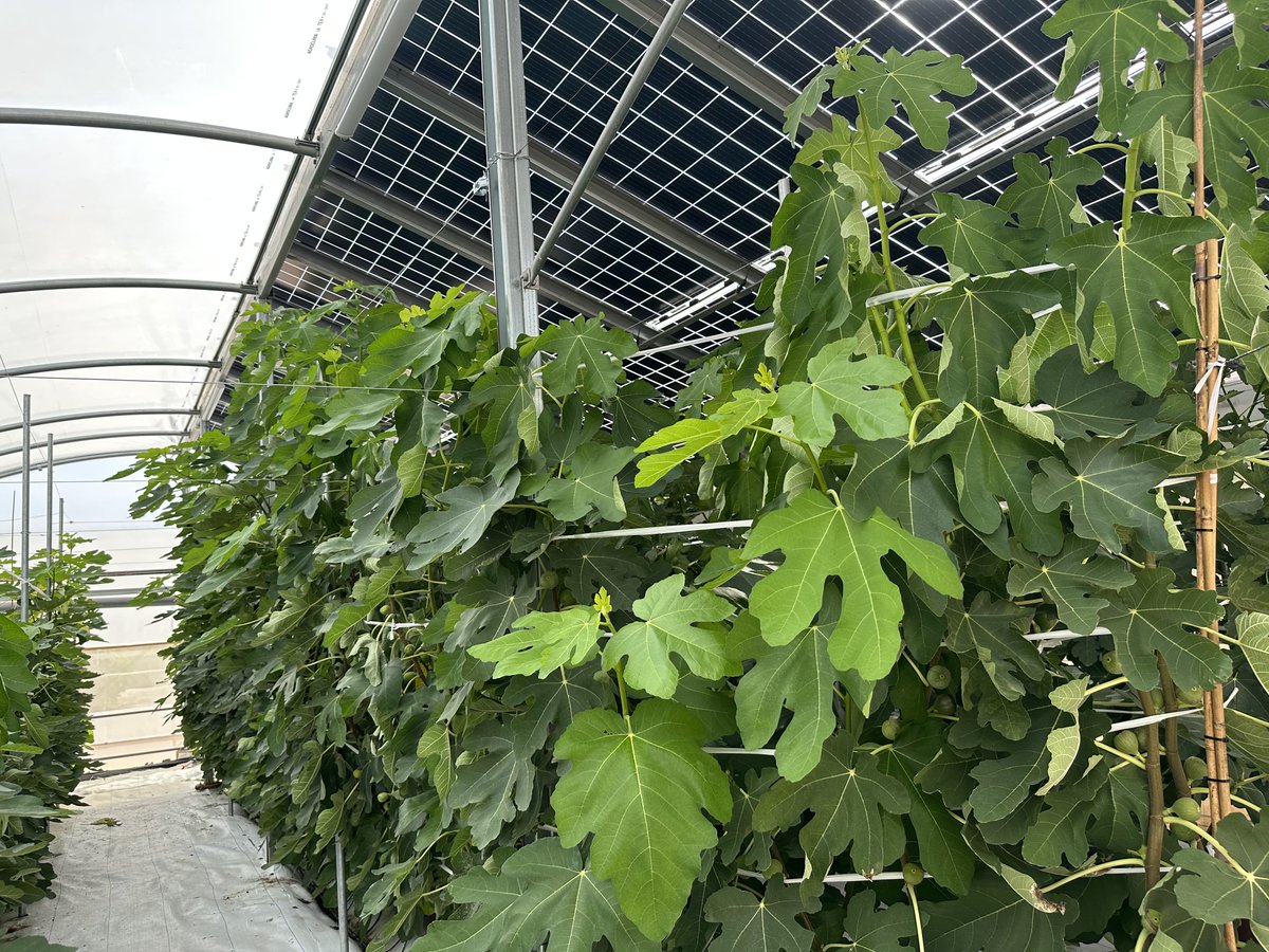 Ecoloop Project tweet media