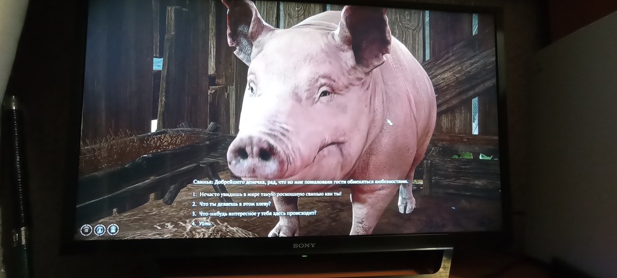 Baldurs gate 3 можно любить как минимум за общение с животными