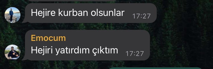 Evde kedi istemeyen ailem;