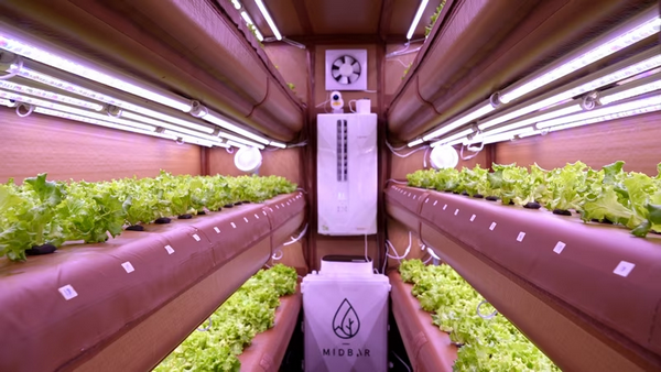 Vertical Farm Daily tweet media