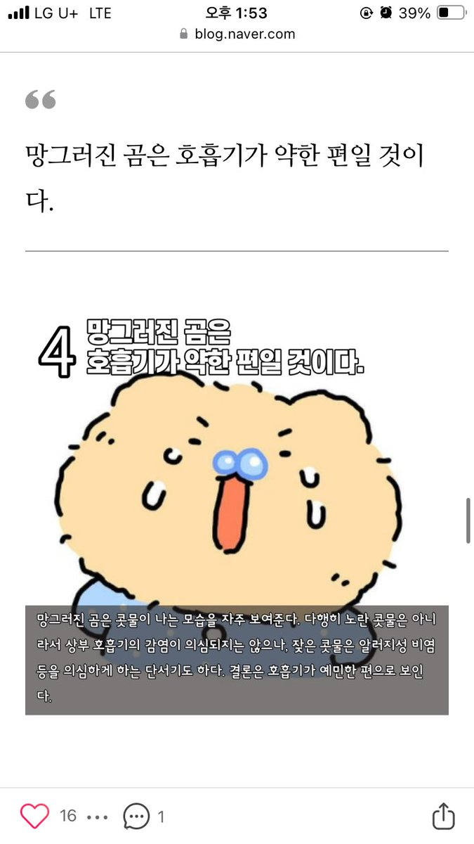 backtothe2d's tweet photo. 수의사분이 망그러진곰 분석하신 거 보는데 개웃김ㅠㅠ 너무 전문적이고 진지해서 망곰이가 갑자기 진짜 실존하는 곰(?)으로 보임 https://t.co/vRlmzkBdqW