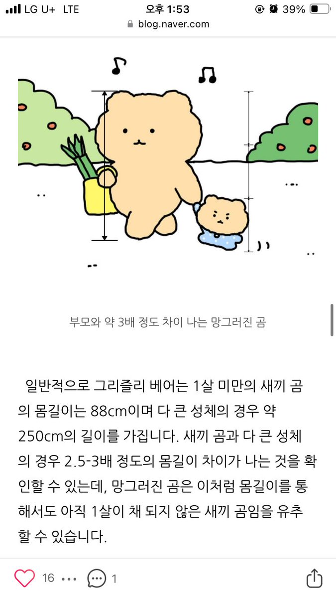 backtothe2d's tweet photo. 수의사분이 망그러진곰 분석하신 거 보는데 개웃김ㅠㅠ 너무 전문적이고 진지해서 망곰이가 갑자기 진짜 실존하는 곰(?)으로 보임 https://t.co/vRlmzkBdqW